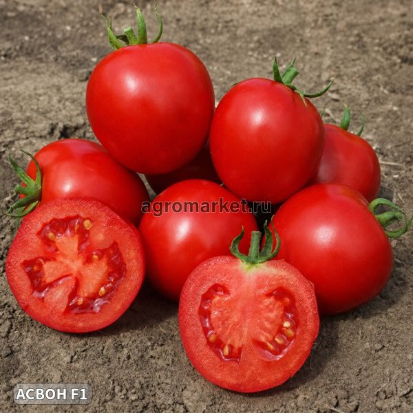 Томат АСВОН F1 / ASVON F1 Kitano Seeds
