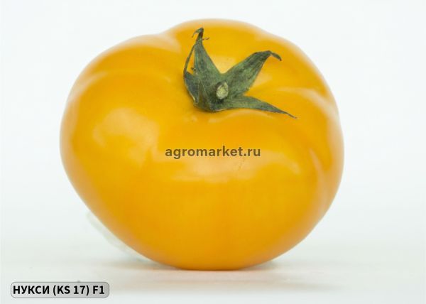 Томат НУКСИ (KS 17) / NUKSI (KS 17) F1 Kitano Seeds