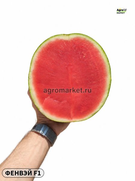 Арбуз бессемянный ФЕНВЭЙ  Seminis