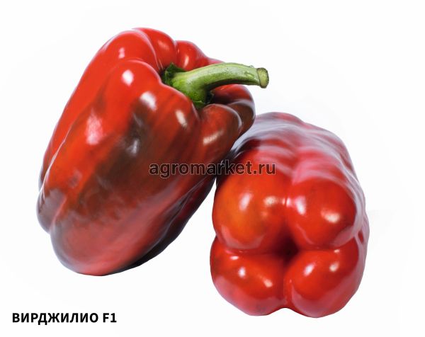 Перец сладкий ВИРДЖИЛИО F1 / VIRGILIO F1 Esasem