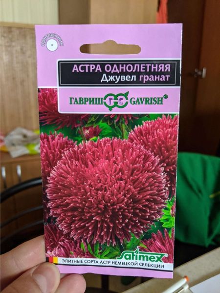 Однолетник Астра Джувел Гранат Эксклюзив Гавриш