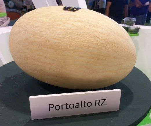 Дыня ПОРТОАЛЬТО F1 / PORTOALTO F1 Rijk Zwaan