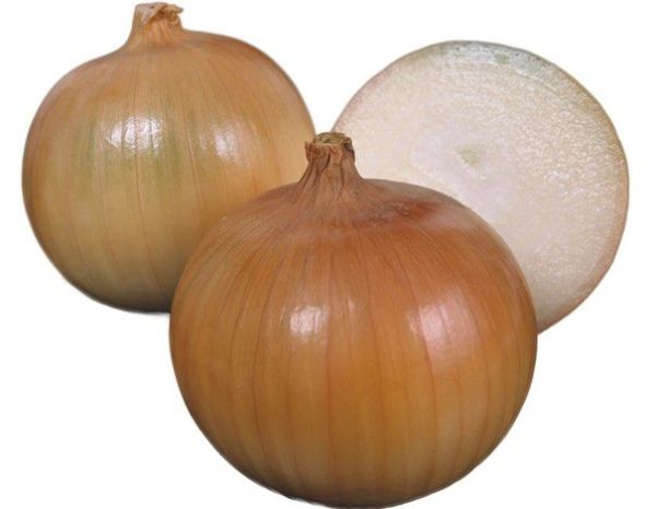 Лук Яровой ТАКМАРК F1 / TAKMARK F1 Takii Seeds