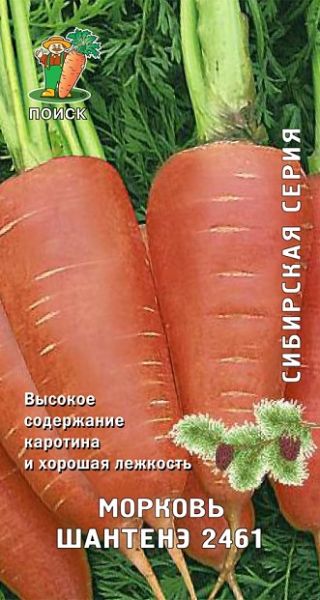 Морковь ШАНТАНЭ 2461 ЦВ Поиск