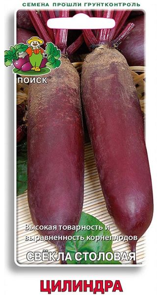 Свекла ЦИЛИНДРА ЦВ Поиск