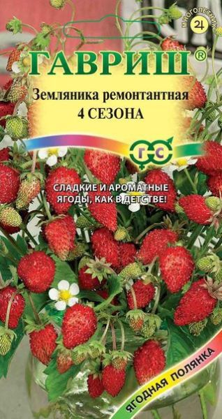 Земляника ЧЕТЫРЕ СЕЗОНА Гавриш
