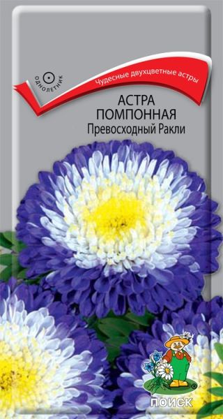 Однолетник Астра помпонная Превосходный Ракли ЦВ Поиск