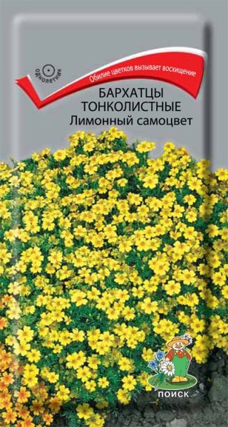 Однолетник Бархатцы тонколистные Лимонный самоцвет ЦВ Поиск