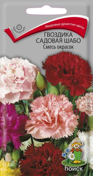 Однолетник Гвоздика садовая Шабо Смесь окрасок ЦВ Поиск