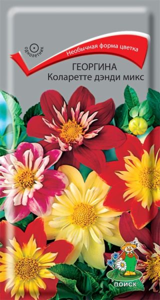Однолетник Георгина Коларетте дэнди микс ЦВ Поиск