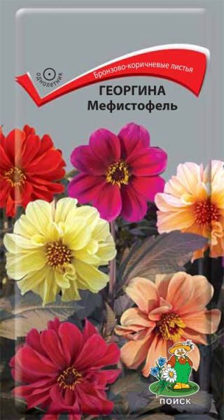 Однолетник Георгина Мефистофель ЦВ Поиск