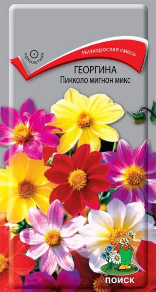 Однолетник Георгина Пикколо Мигнон Микс ЦВ Поиск