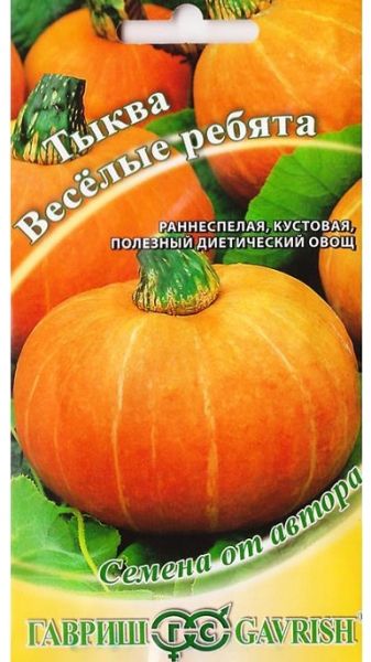 Тыква ВЕСЕЛЫЕ РЕБЯТА Гавриш