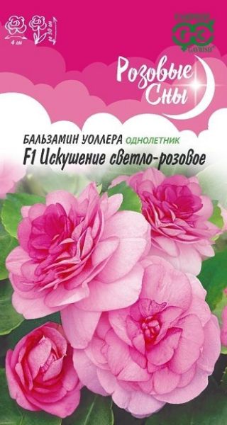 Однолетник Бальзамин Искушение светло-розовое Розовые сны Гавриш