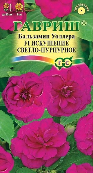 Однолетник Бальзамин Искушение светло-пурпурное Гавриш