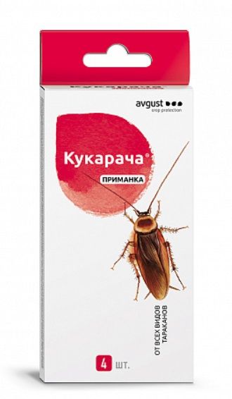 КУКАРАЧА Avgust