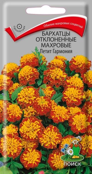 Однолетник Бархатцы откл. махр. Петит Гармония ЦВ Поиск
