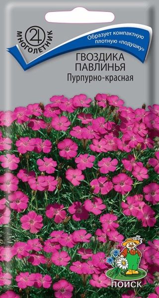 Однолетник Гвоздика Павлинья Пурпурно-красная ЦВ Поиск