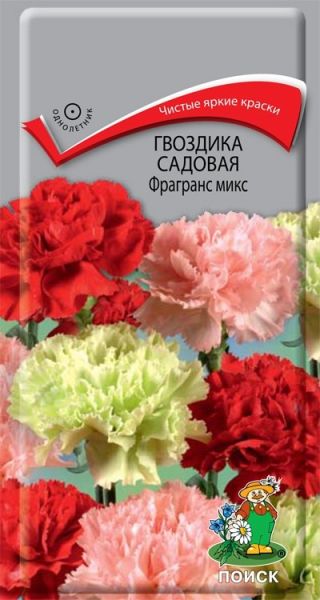 Однолетник Гвоздика садовая Фрагранс Микс ЦВ Поиск