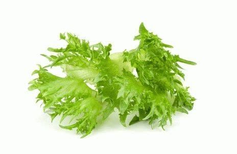 Салат айсберг ФРИЛЛИС / FRILLIS Seminis