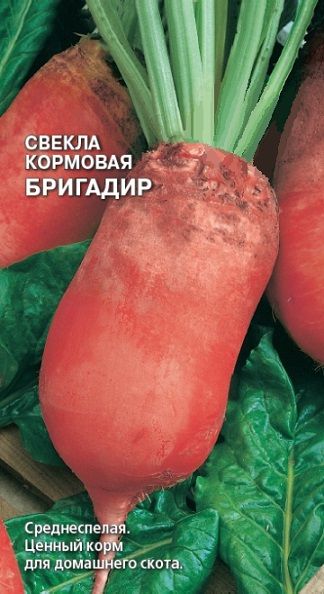 Свекла кормовая БРИГАДИР Feldsaaten