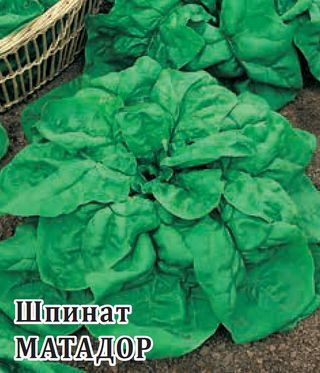 Шпинат МАТАДОР Гавриш