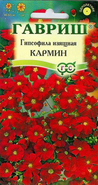 Однолетник Гипсофила изящная Кармин Гавриш