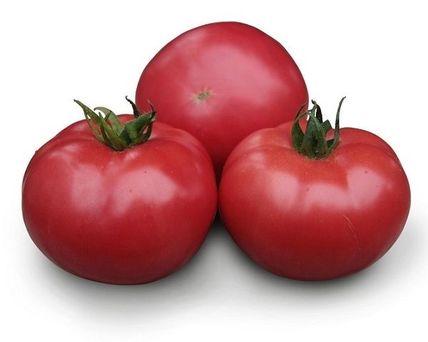 Томат ТАКАДО (KS 38) F1 / TAKADO (KS 38) F1 Kitano Seeds