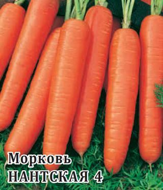 Морковь Нантская 4 / NANTSKAYA 4 Гавриш
