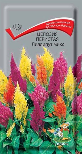 Однолетник Целозия перистая Лиллипут микс ЦВ Поиск