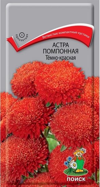 Однолетник Астра помпонная Темно-красная ЦВ Поиск