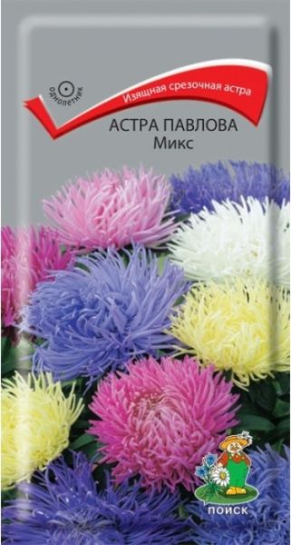 Однолетник Астра Павлова Микс ЦВ Поиск