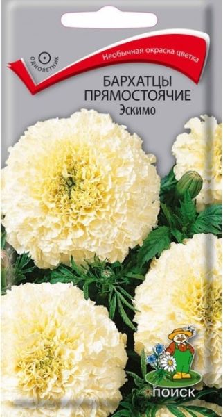Однолетник Бархатцы прямостоячие Эскимо ЦВ Поиск