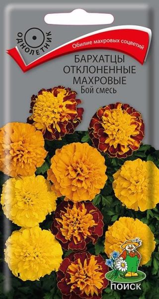 Однолетник Бархатцы откл. махр. Бой смесь ЦВ Поиск