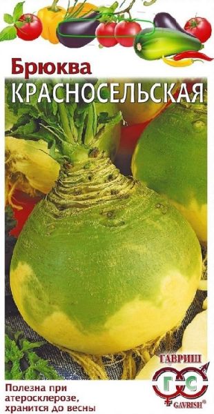 Брюква Красносельская Гавриш