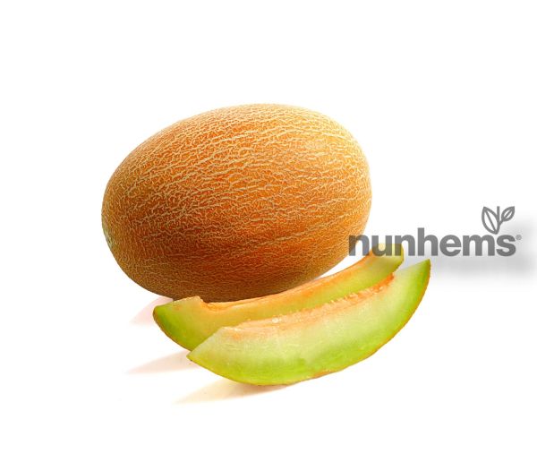 Дыня ДЕЛАНО F1 / DELANO F1 Nunhems