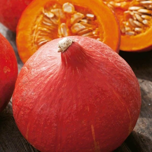 Тыква УШИКИ КУРИ / USHIKI KURI Takii Seeds