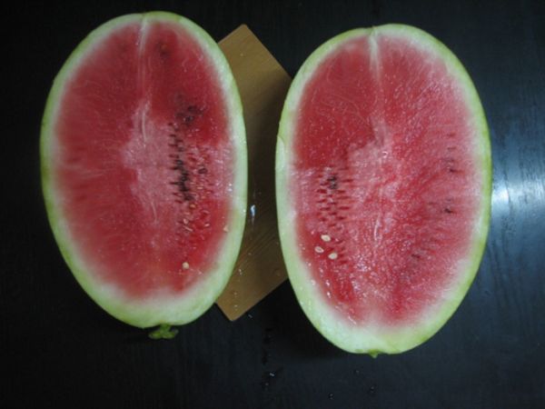 Арбуз ТРИУМФАТОР F1 / TRIUMFATOR F1 Hollar Seeds