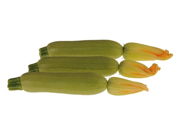 Кабачок АЛЕКСАНДРИЯ F1 / ALEKSANDRIYA F1 Hollar Seeds