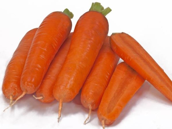 Морковь ТАНГЕРИНА F1 / TANGERINA F1 Takii Seeds