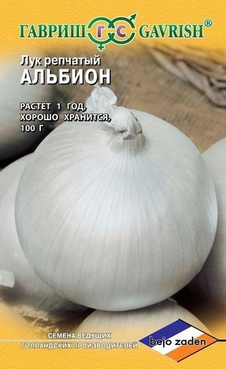 Лук Яровой АЛЬБИОН Гавриш