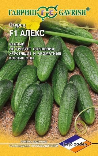 Огурец АЛЕКС F1 Гавриш