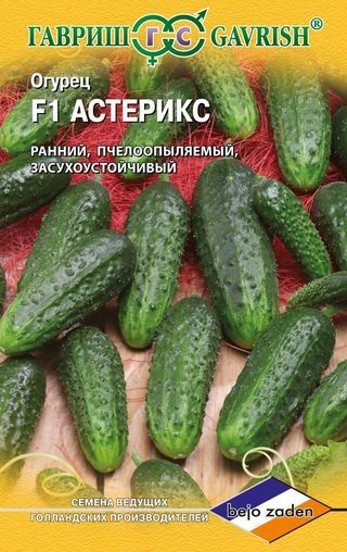 Огурец АСТЕРИКС F1 Гавриш