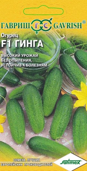 Огурец ГИНГА F1 Гавриш