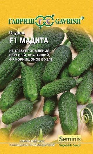 Огурец МАДИТА F1 Гавриш