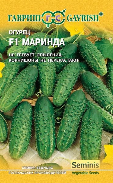Огурец МАРИНДА F1 Гавриш