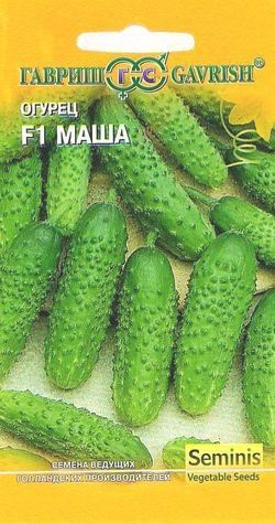 Огурец МАША F1 Гавриш