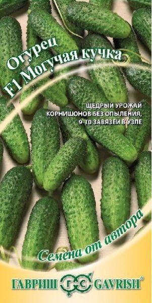 Огурец МОГУЧАЯ КУЧКА F1 Гавриш