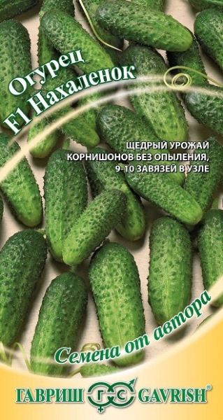 Огурец НАХАЛЕНОК F1 Гавриш