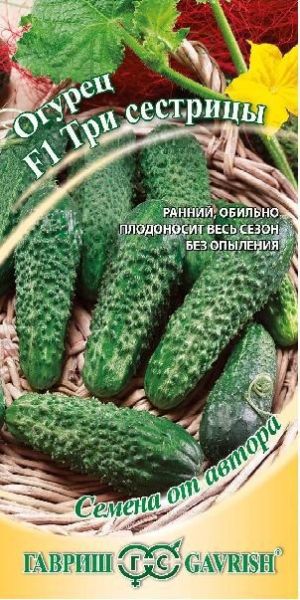 Огурец ТРИ СЕСТРИЦЫ F1 Гавриш